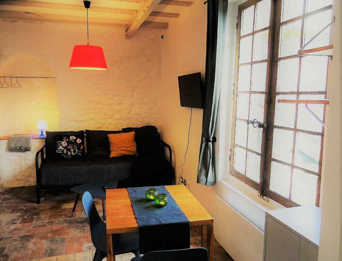 Appartement Spacieux Avec Une Vue Sur Tours Bagian luar foto