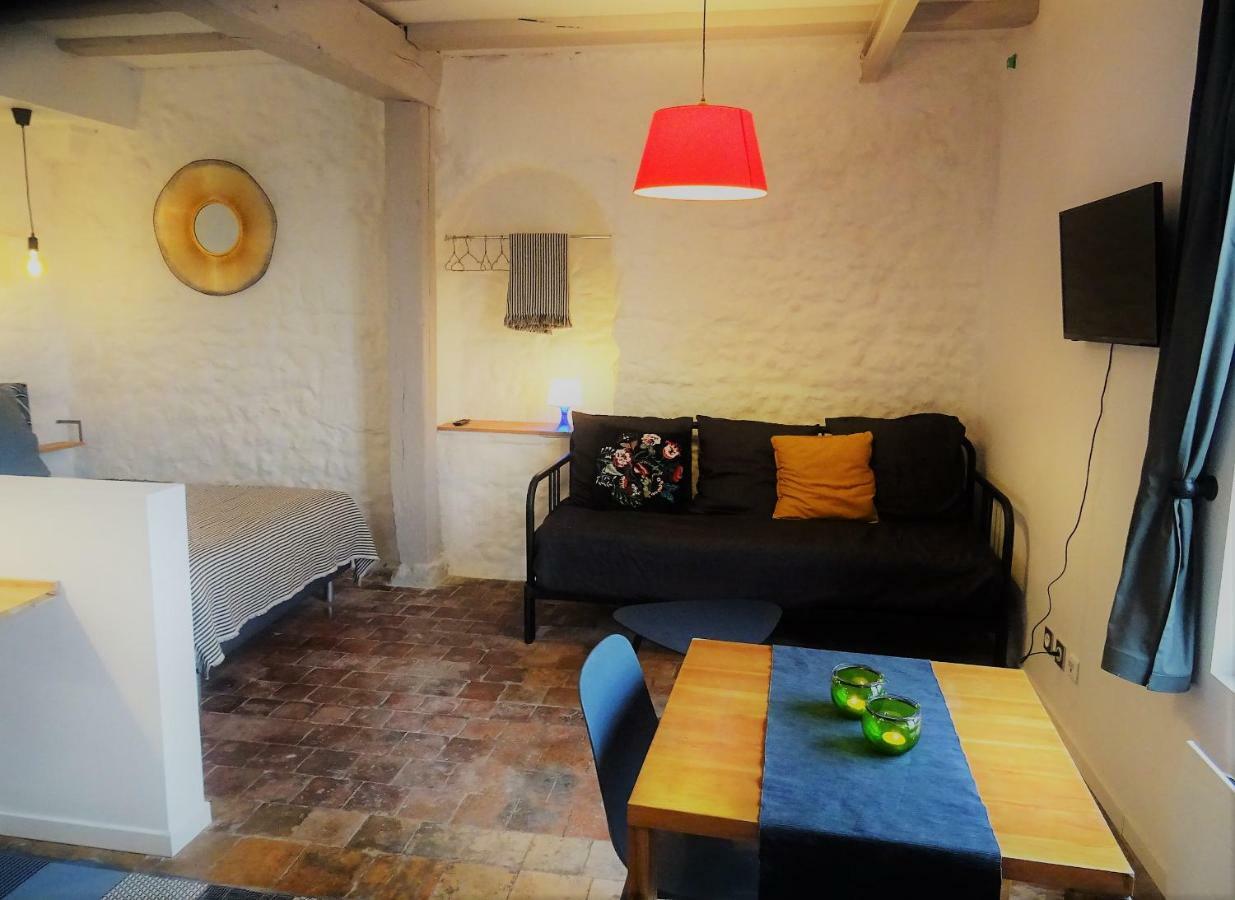 Appartement Spacieux Avec Une Vue Sur Tours Bagian luar foto
