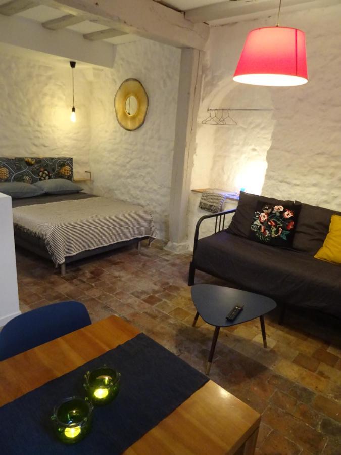 Appartement Spacieux Avec Une Vue Sur Tours Bagian luar foto