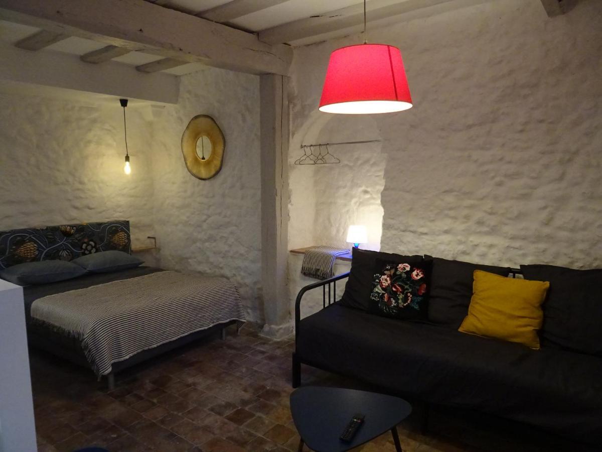 Appartement Spacieux Avec Une Vue Sur Tours Bagian luar foto